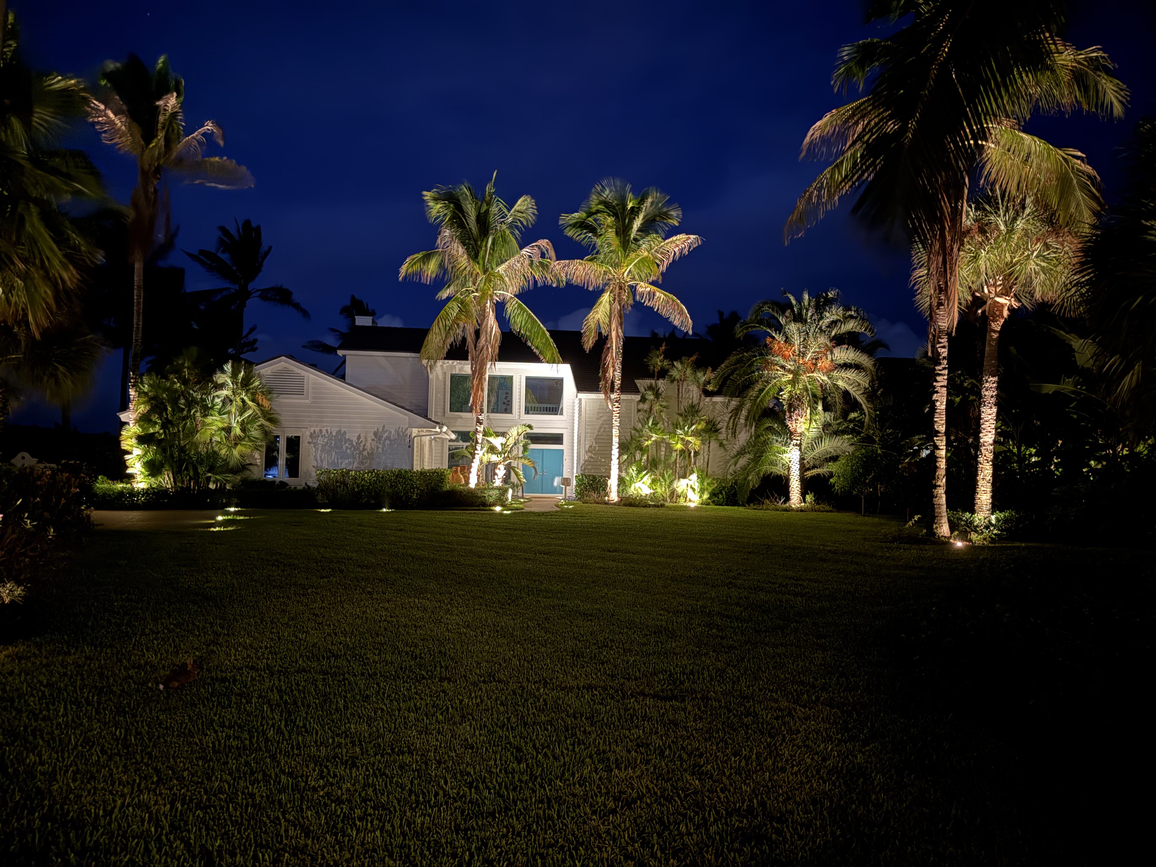 Landscape lighting on palms and a lawn in front of a house at night